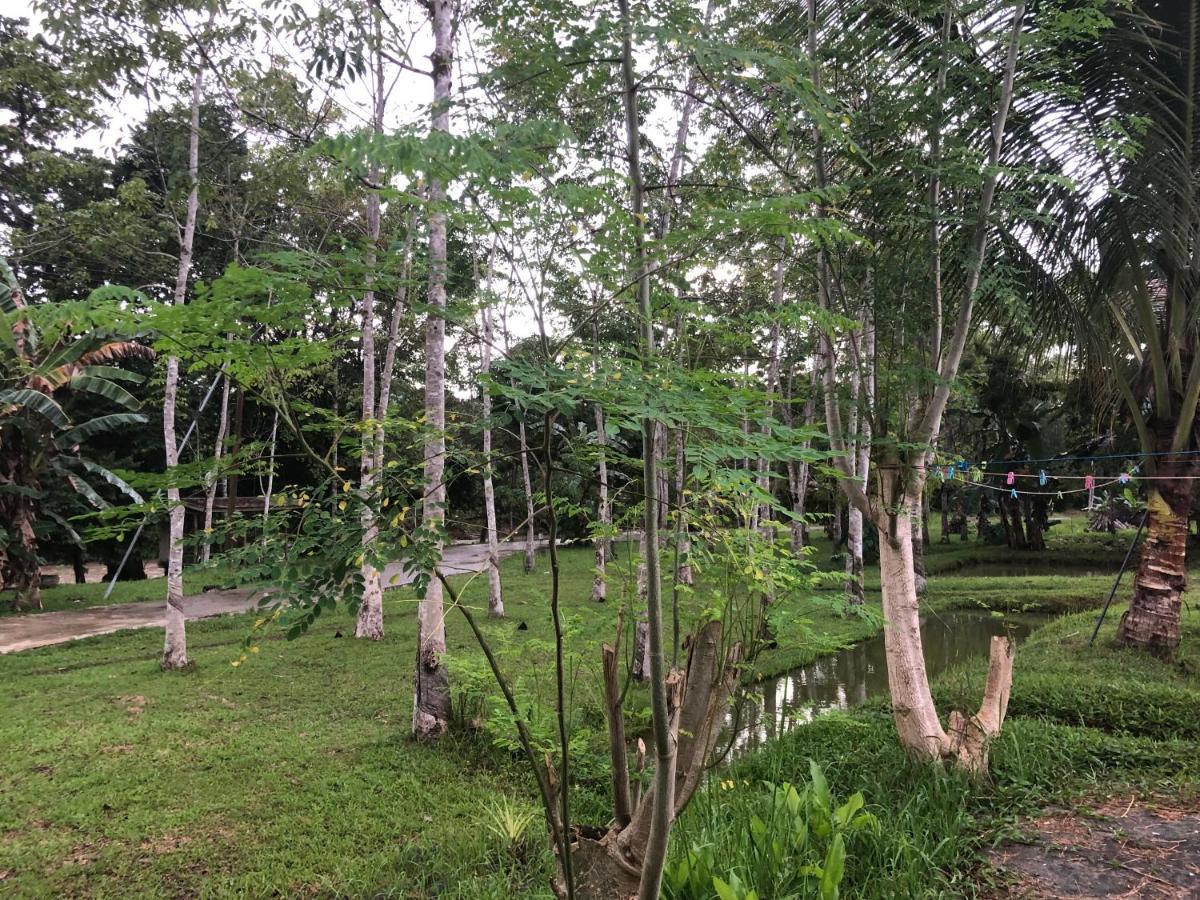Grace Guesthouse Kota Belud Esterno foto